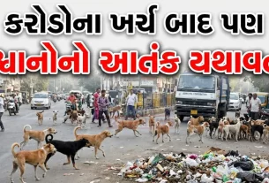 Surat Stray Dog Attack News