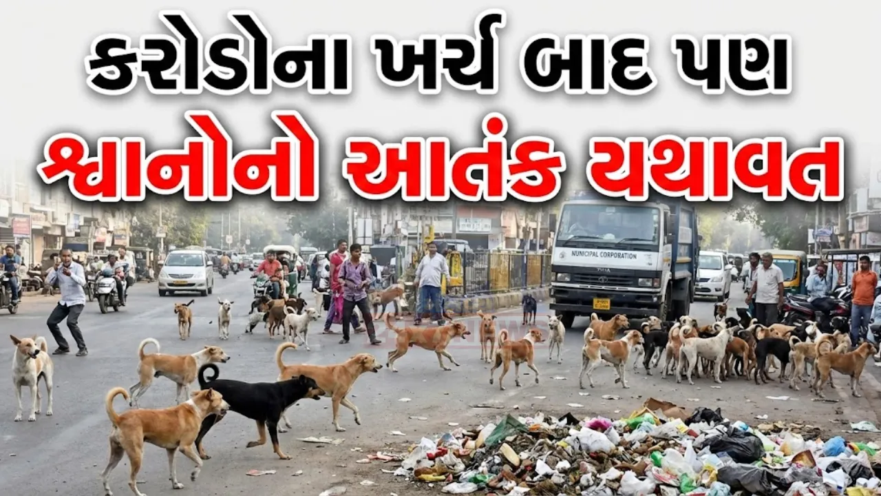 Surat Stray Dog Attack News