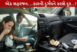 Car Smell, કારની વાસ, સફરજન, વેક્યુમ ક્લીનર, નાસ્તો
