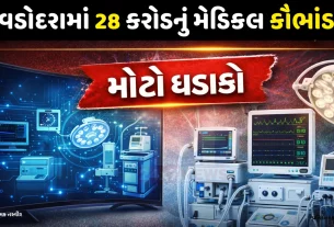Vadodara Wardwizard Hospital Fraud: