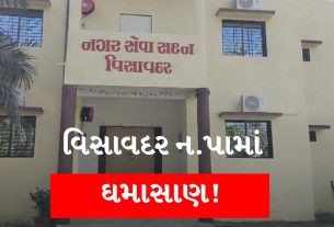 visavadar