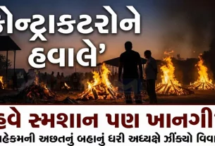 Vadodara VMC Video Viral News