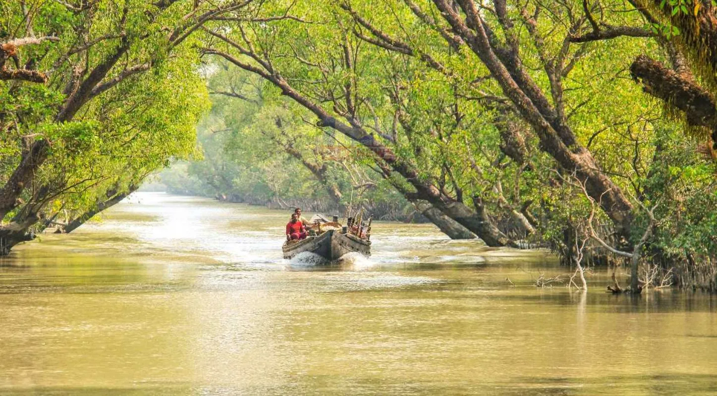 World Wetlands Day, વર્લ્ડ વેટલેન્ડ્સ ડે, આર્દ્રભૂમિ, જાગૃતિ