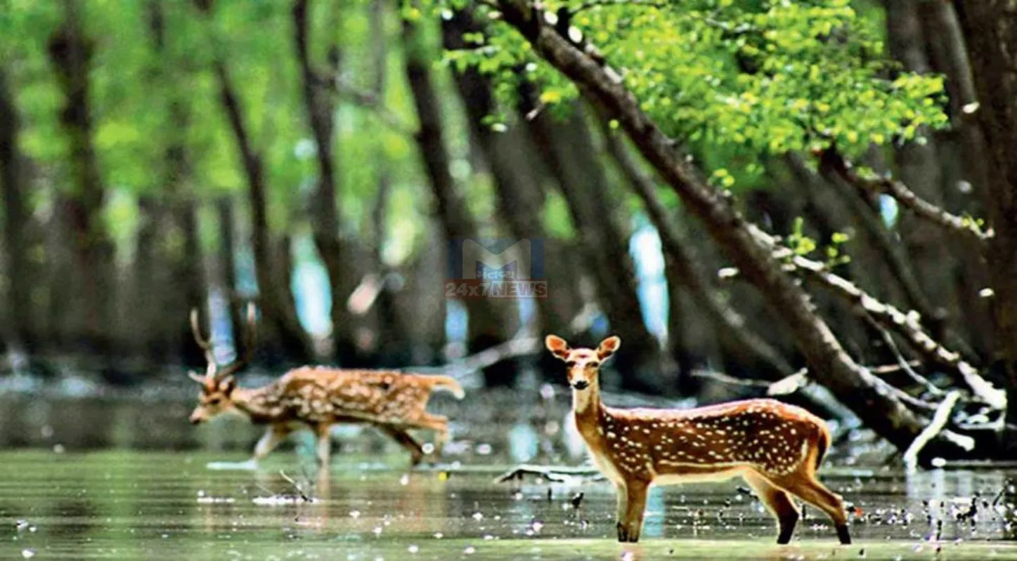 World Wetlands Day, વર્લ્ડ વેટલેન્ડ્સ ડે, આર્દ્રભૂમિ, જાગૃતિ