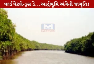 World Wetlands Day, વર્લ્ડ વેટલેન્ડ્સ ડે, આર્દ્રભૂમિ, જાગૃતિ