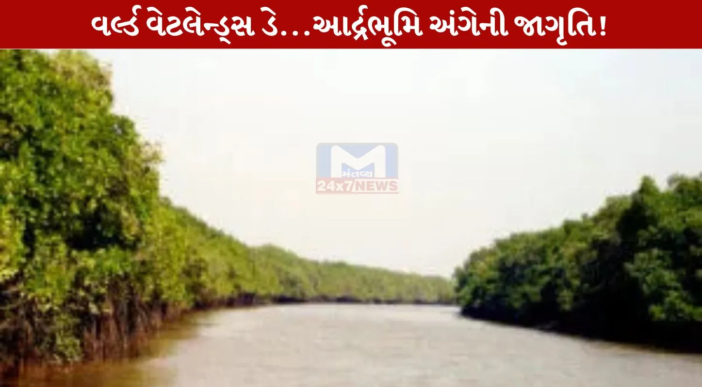 World Wetlands Day, વર્લ્ડ વેટલેન્ડ્સ ડે, આર્દ્રભૂમિ, જાગૃતિ