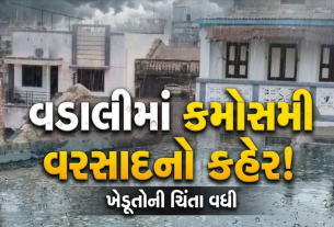 Vadali Sabarkantha Rain