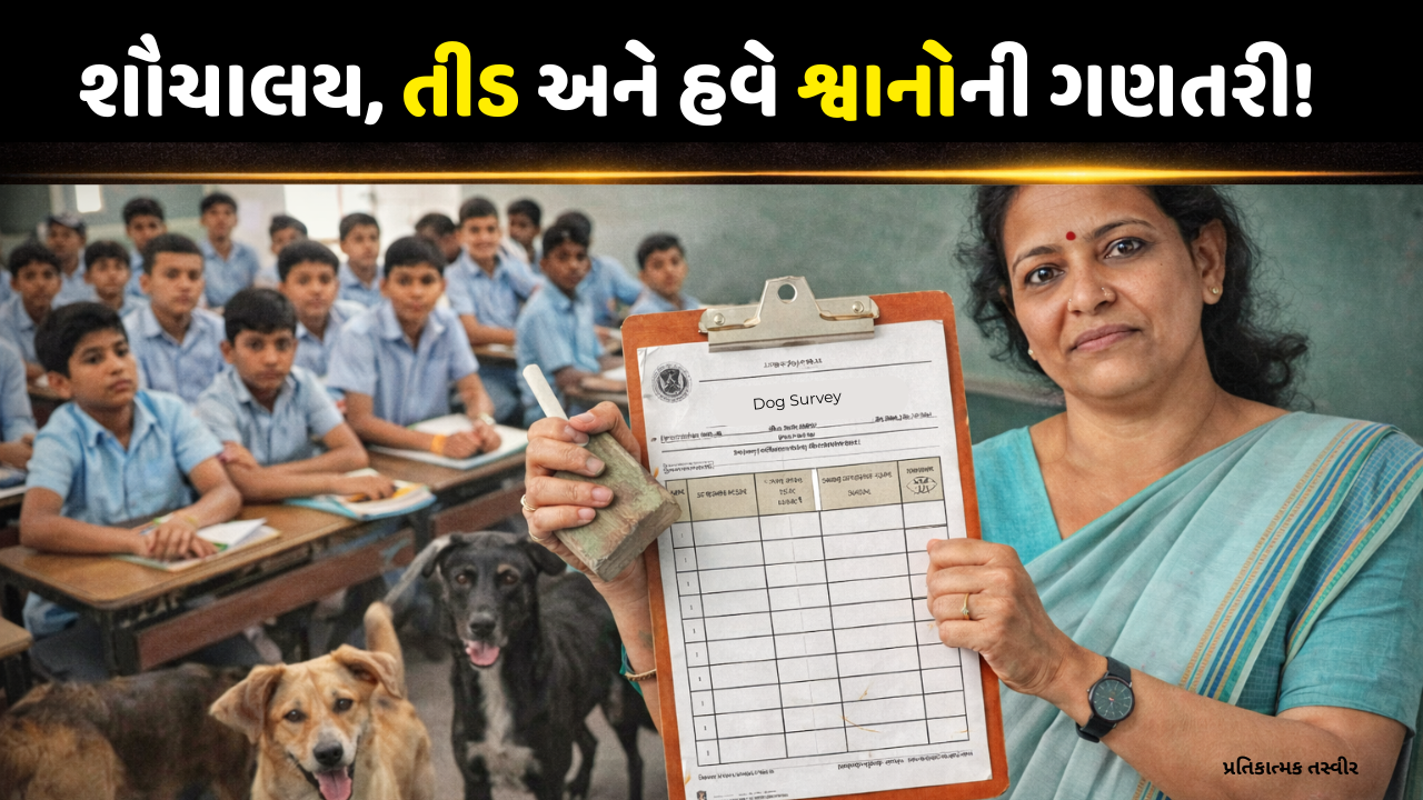 Dog count controversy: "શિક્ષકોને કૂતરા ગણવા કે ભણાવવા?" કોંગ્રેસે શિક્ષણ વિભાગ પર કર્યા પ્રહાર