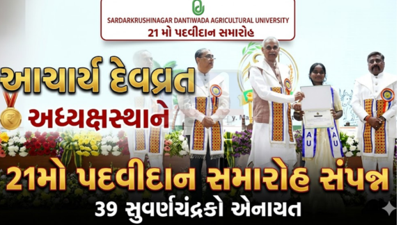 દાંતીવાડા (Dantiwada)કૃષિ યુનિવર્સિટી(Agriculture University)નો 21મો પદવીદાન સમારોહ (Convocation Ceremony)આજે રાજ્યપાલ તથા યુનિવર્સિટીના કુલાધિપતિ આચાર્ય દેવવ્રતના અધ્યક્ષસ્થાને યોજાયો