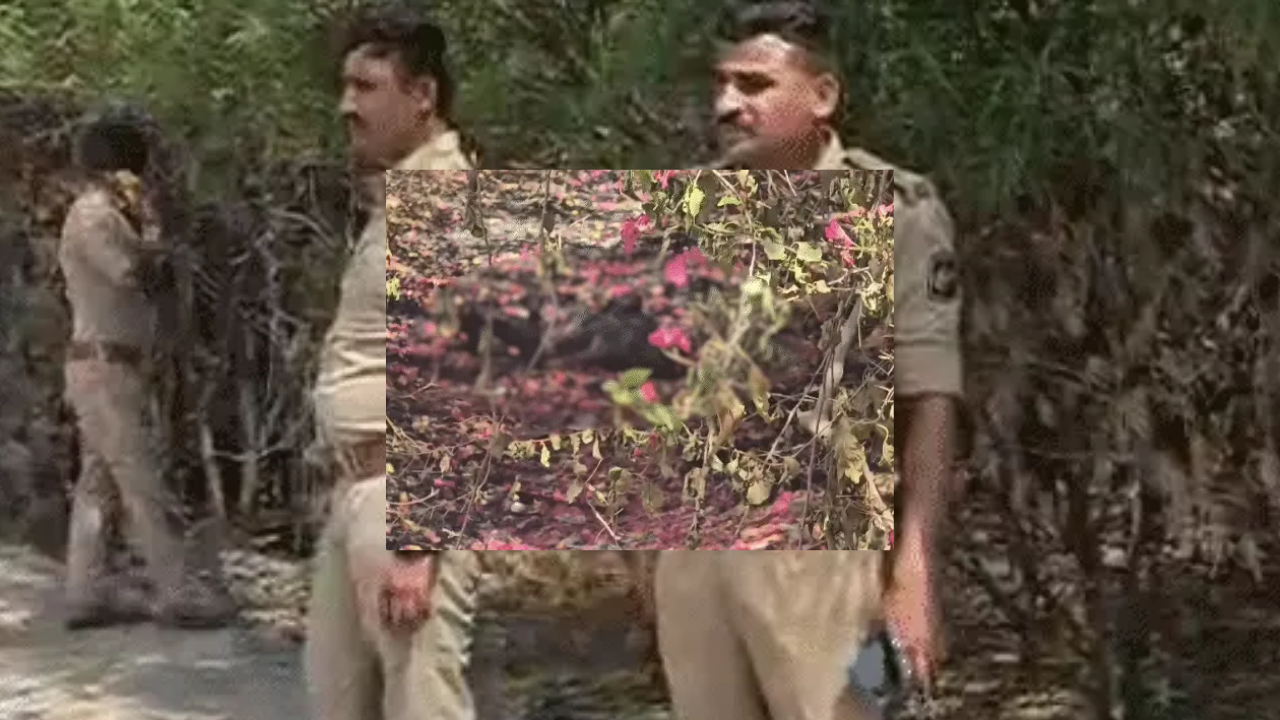 અમદાવાદમાં મહિલાની સળગેલી Dead body મળતા ચકચાર
