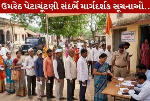 Umreth By-Elections, ભારત, ચૂંટણીનું જાહેરનામુ, પરિણામ, By-Elections