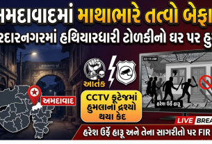 Anti Social Elements નો અમદાવાદના સરદારનગરમાં હુમલો