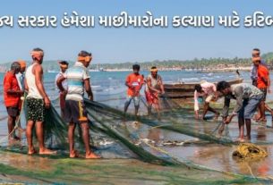 ગુજરાત સરકારના મત્સ્ય સંઘ - GFCCA દ્વારા માછીમારો(Fishermen)ને ડિસ્કાઉન્ટ ભાવે ડીઝલ મળી રહે તે માટે ભારત પેટ્રોલિયમ (BPCL) સાથે ટેન્ડર પ્રક્રિયા કરવામાં આવી હતી