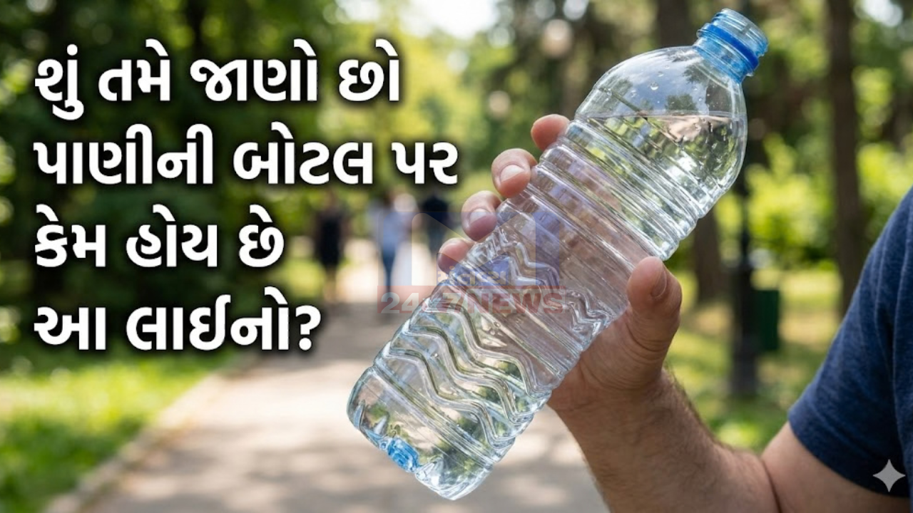 Bottle