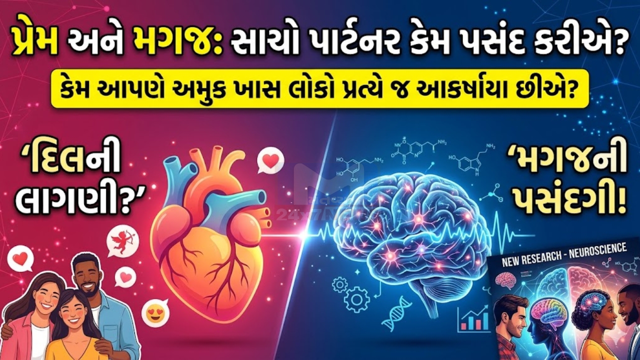 Brain