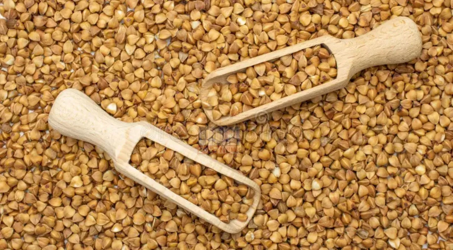 Buckwheat Flour, ડાયાબિટીસ. કુટ્ટૂની પૂરી, ઉપવાસ, લો શુગર