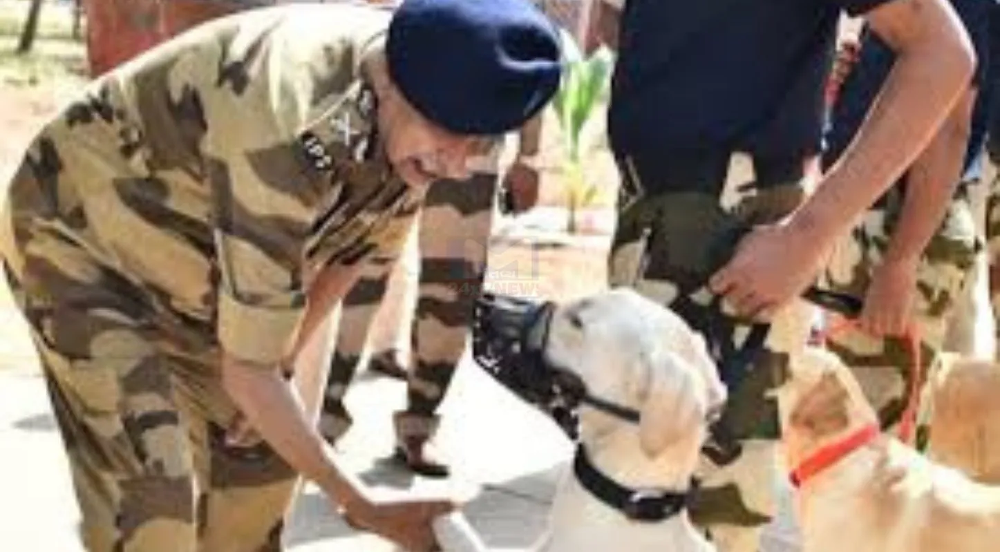 CISF Raising Day 2026 ,સીઆઈએસએફ સ્થાપના દિવસ, ઔદ્યોગિક સુરક્ષા, Dog Squad, QRT