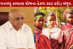 CM Patel, VKY, આદિજાતિ ગામો, રસ્તાઓ