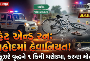 Cruiserએ વૃદ્ધ સાઇકલ ચાલકને કચડી નાખ્યો