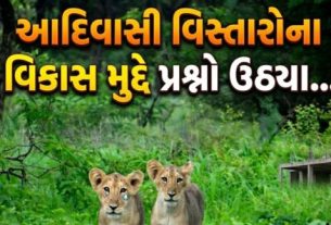 વિધાનસભામાં ચર્ચા (Discussion)દરમિયાન કોંગ્રેસના ધારાસભ્ય તુષાર ચૌધરીએ આદિવાસી વિસ્તારોના વિકાસ મુદ્દે પ્રશ્નો ઉઠાવ્યા