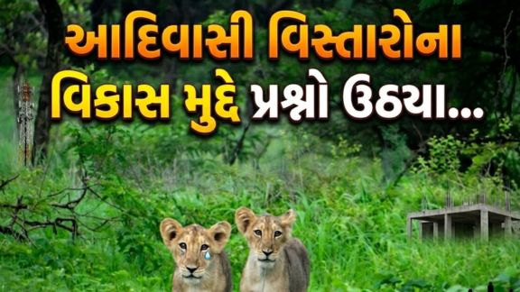વિધાનસભામાં ચર્ચા (Discussion)દરમિયાન કોંગ્રેસના ધારાસભ્ય તુષાર ચૌધરીએ આદિવાસી વિસ્તારોના વિકાસ મુદ્દે પ્રશ્નો ઉઠાવ્યા