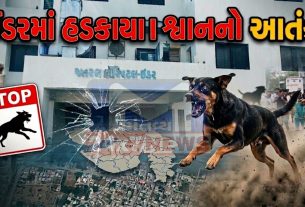 Dog bites: સાબરકાંઠામાં હડકાયા શ્વાનના હુમલા પછી ભેંસનું મોત
