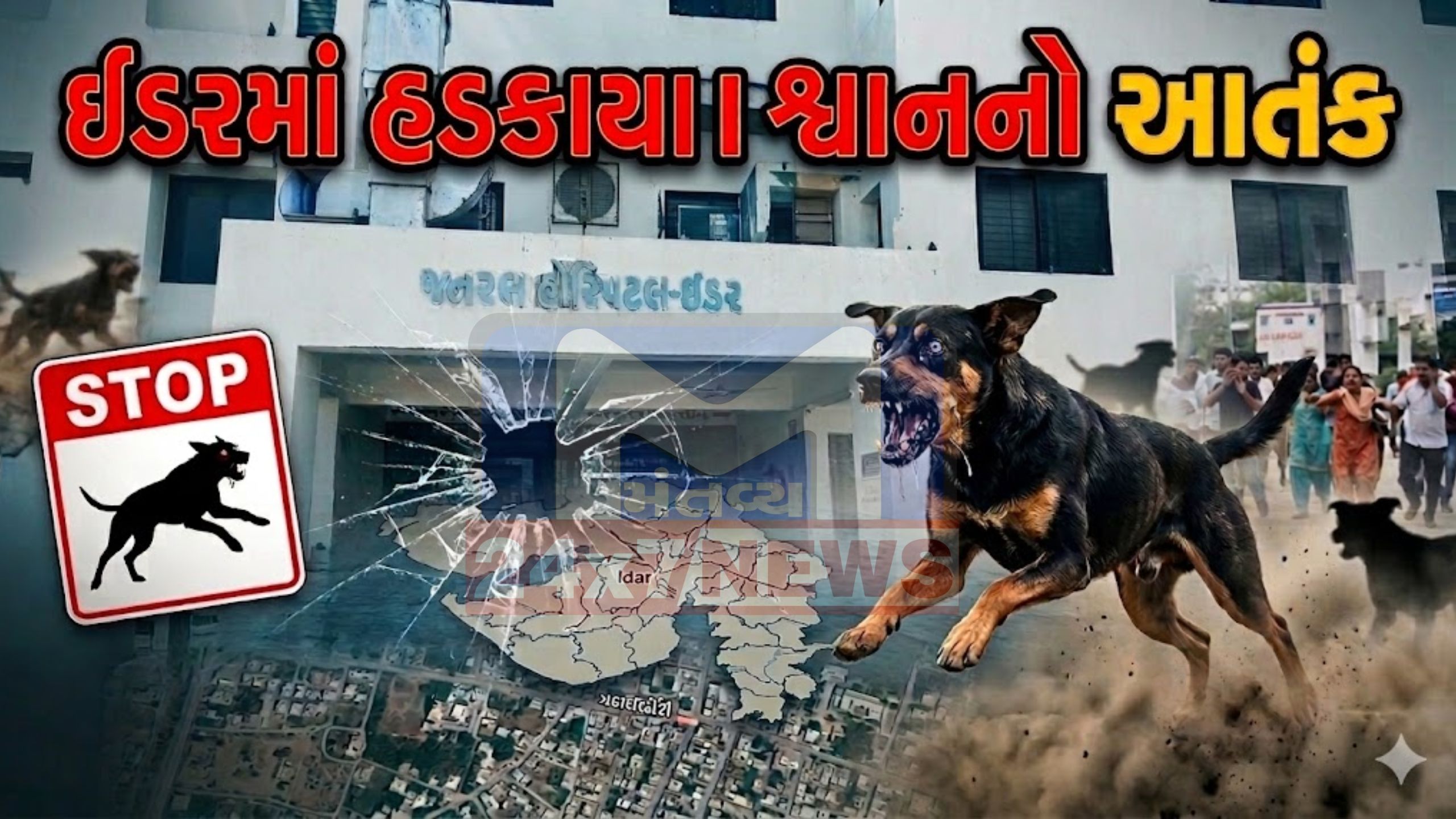 Dog bites: સાબરકાંઠામાં હડકાયા શ્વાનના હુમલા પછી ભેંસનું મોત