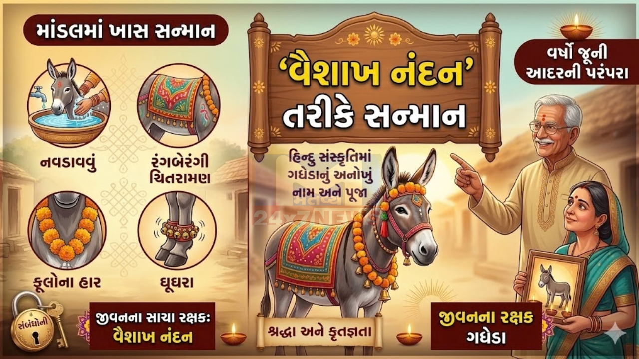 Donkeys