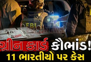 Green Card માટે નકલી ક્રાઇમ! અમેરિકામાં 11 ભારતીયો સામે કેસ