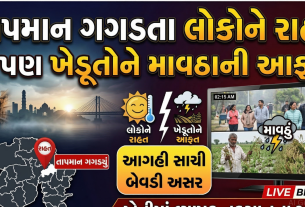 Unseasonal Rain થી ખેડૂતોને માથે આફત