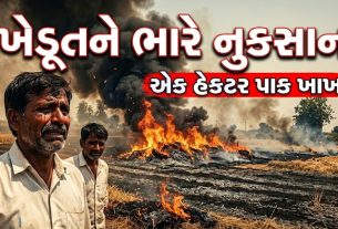 વીજ લાઈન શોર્ટ સર્કિટથી Fire, ખેડૂતને ભારે નુકસાન