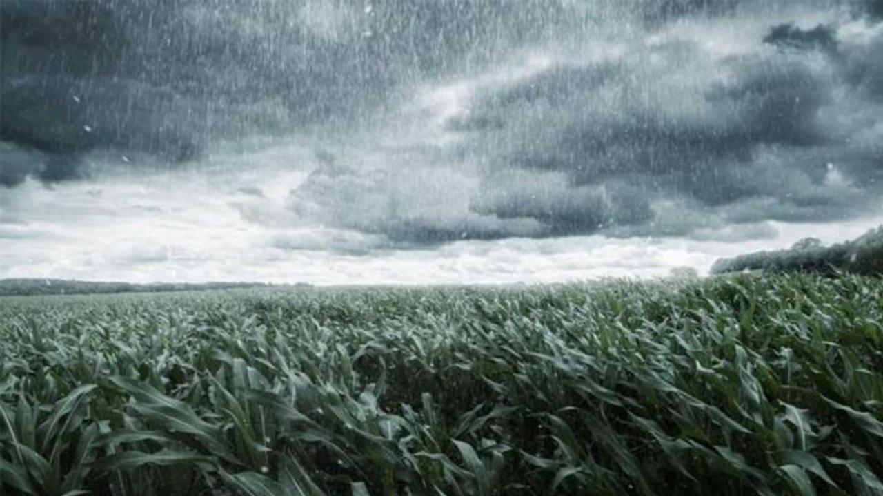 Unseasonal rain પડવાની ગુજરાતમાં આગાહી