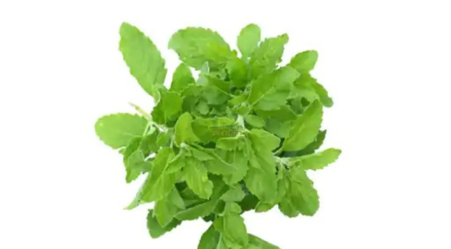 Freeze Storage Mistakes, મધ, બ્રેડ, કેળાને ફ્રિઝમાં, પેટની સમસ્યા