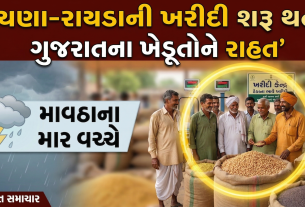 Farmersને રાહત, ચણા-રાયડાની ખરીદીનો પ્રારંભ