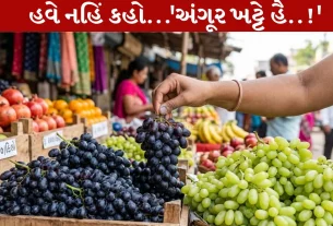 Grapes Purchase Tips , ગળી દ્રાક્ષ, ખાટી દ્રાક્ષ, પીળો રંગ, કાળી દ્રાક્ષ