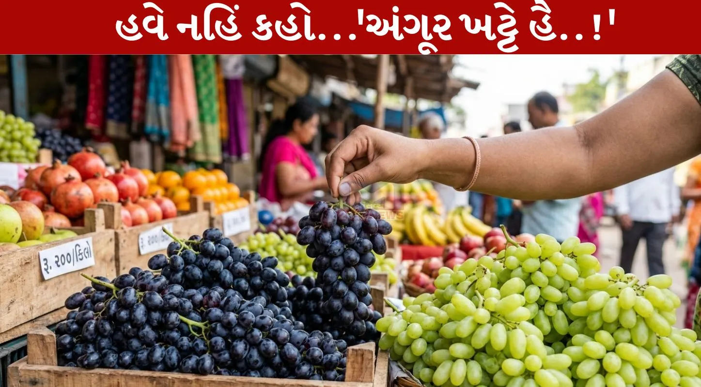 Grapes Purchase Tips , ગળી દ્રાક્ષ, ખાટી દ્રાક્ષ, પીળો રંગ, કાળી દ્રાક્ષ