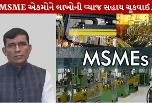 MSME Units, જયરામ ગામીત, આર્થિક સહાય, ધંધુકા, અમદાવાદ તાલુકા