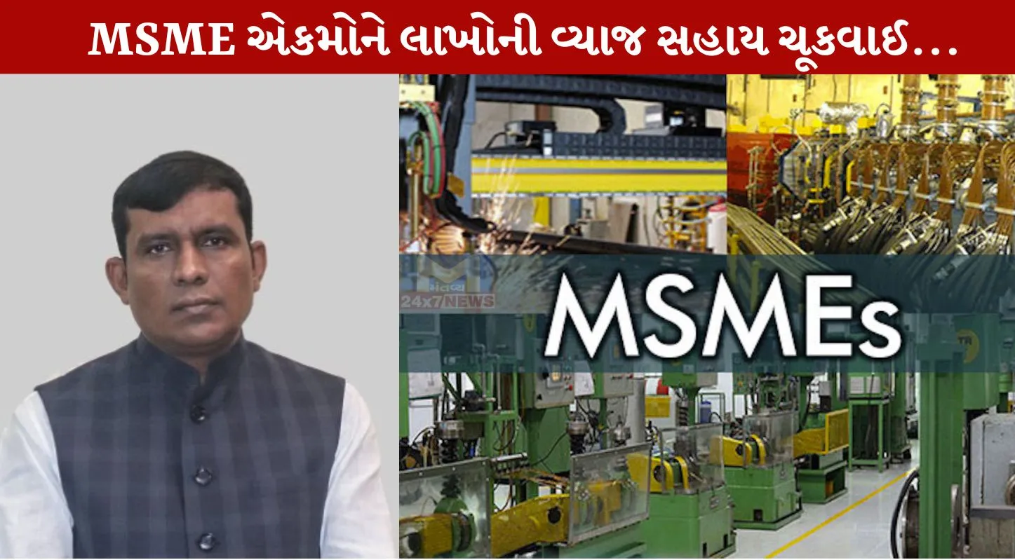 MSME Units, જયરામ ગામીત, આર્થિક સહાય, ધંધુકા, અમદાવાદ તાલુકા
