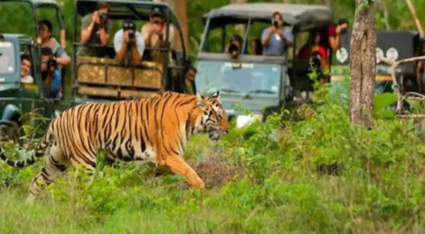 International Day of Forests, જળવાયુ પરિવર્તન, ગુજરાત, વનનો નાશ, 21 માર્ચ