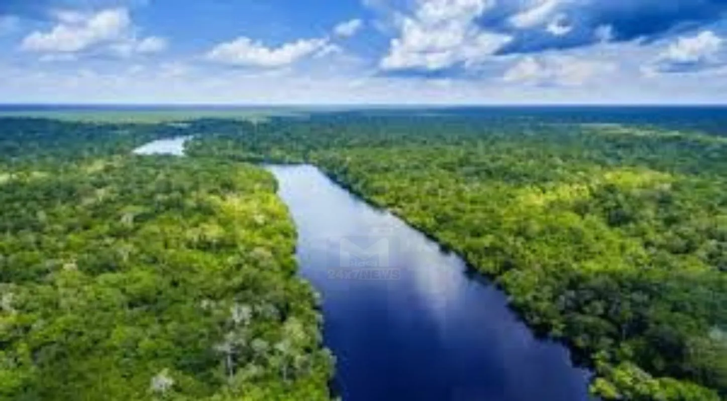 International Day of Forests, જળવાયુ પરિવર્તન, ગુજરાત, વનનો નાશ, 21 માર્ચ