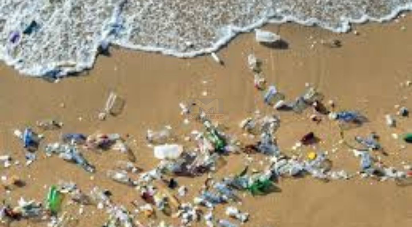 International Day of Zero Waste 2026, 30 માર્ચ, પૃથ્વી, પ્રદૂષણ, ખાદ્ય કચરો