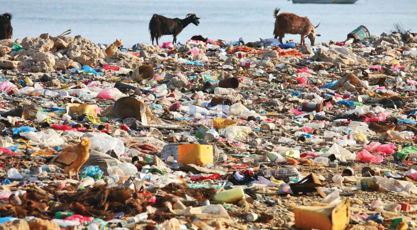 International Day of Zero Waste 2026, 30 માર્ચ, પૃથ્વી, પ્રદૂષણ, ખાદ્ય કચરો