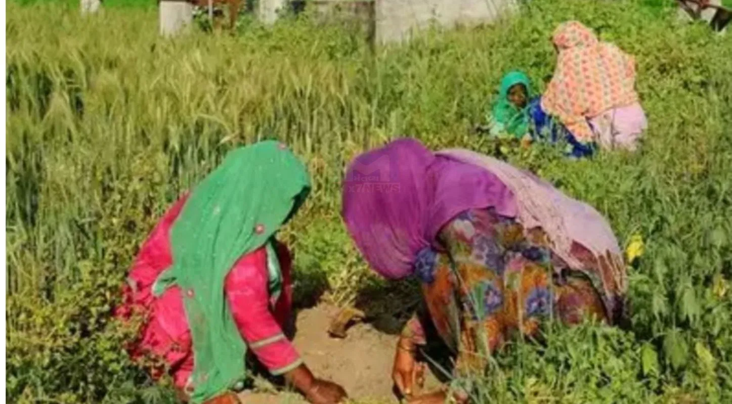 International Women's Day 2026, અમેરીકા, યૂરોપ, ઇતિહાસ, મહત્વ