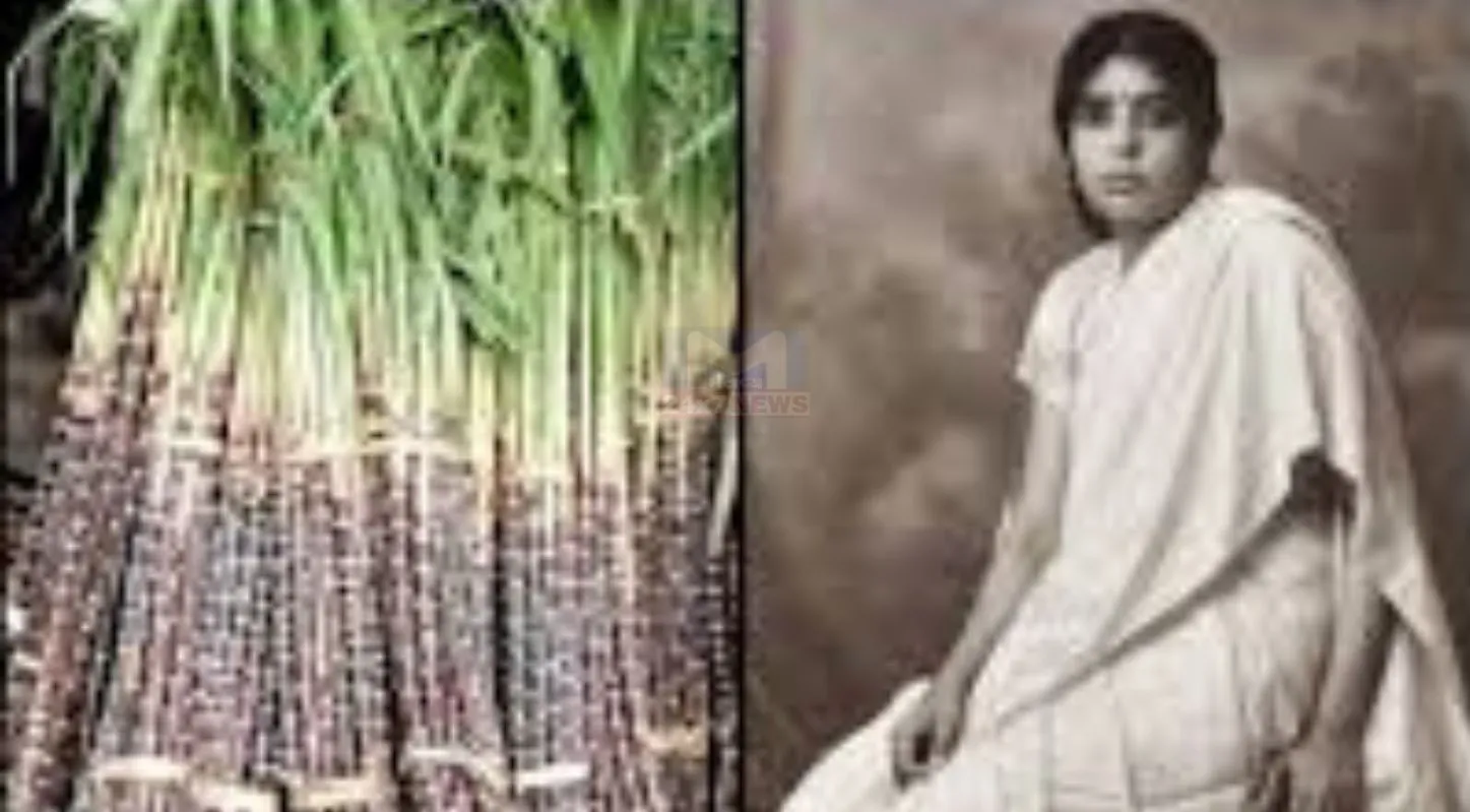 International Women's Day 2026, અમેરીકા, યૂરોપ, ઇતિહાસ, મહત્વ