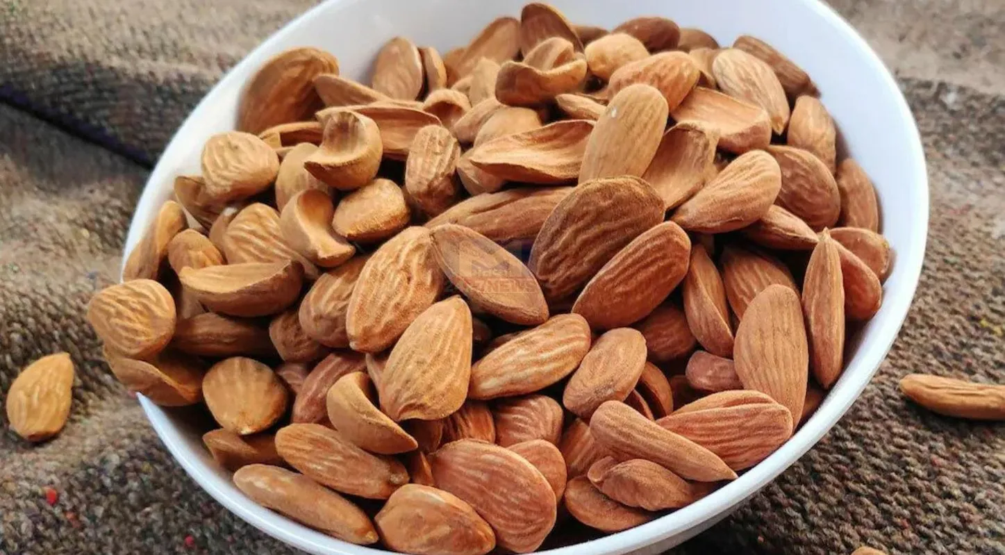 Mamra Almonds, કશ્મીર, ભારત, અફઘાનિસ્તાન, હૅલ્થ બેનિફિટ્સ