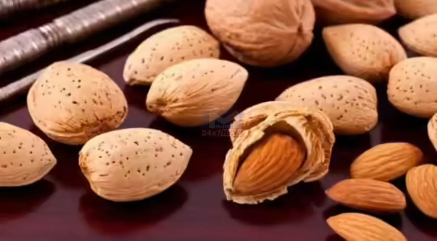 Mamra Almonds, કશ્મીર, ભારત, અફઘાનિસ્તાન, હૅલ્થ બેનિફિટ્સ