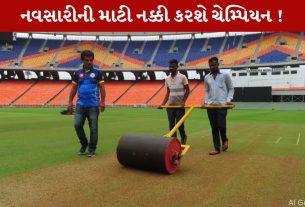 ફાઇનલની પીચમાં નવસારીની Red Sandને ઉપયોગમાં લેવાઈ