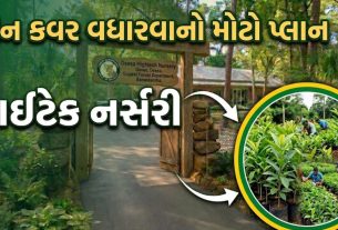 Hitech Nursery