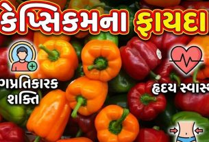 Capsicum