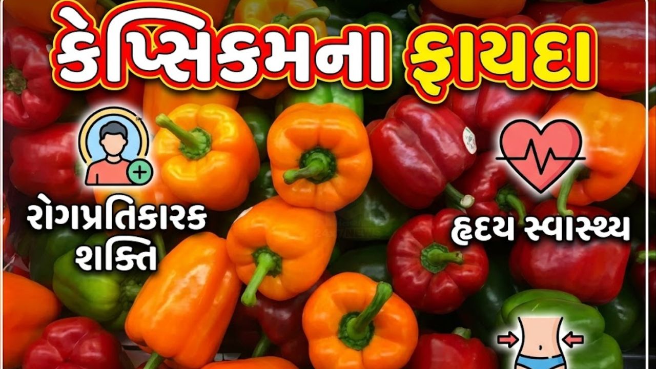 Capsicum